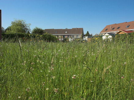 Bermgras tegen gladheid