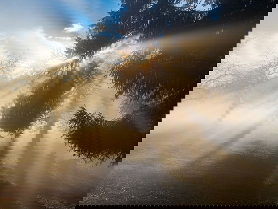 Was de Geest er al in het Oude Testament?