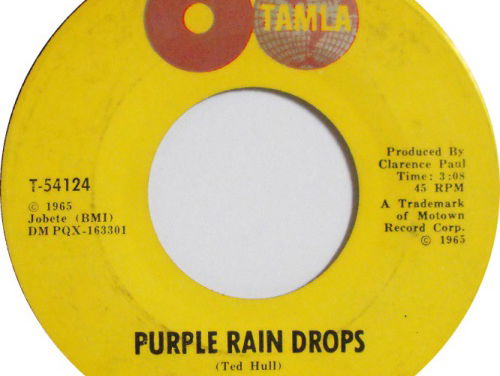 Purple rain drops - little Stevie Wonder