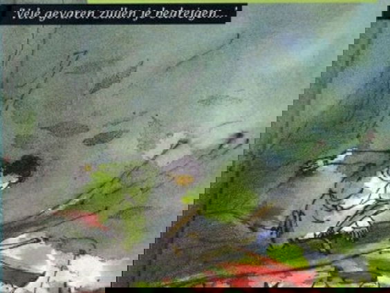 In de zomer van 1962 lees je de brief voor de koning van Tonke Dragt