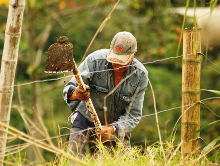 Boeren kunnen moeilijk opvolgers vinden