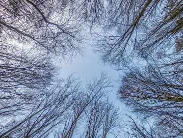 Deventenaar (27) slaapt 250 dagen per jaar in het bos