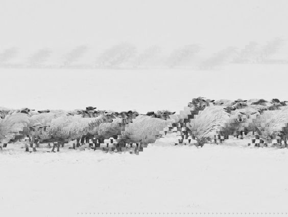 Nieuwtje: Reinier van de Berg over een weerrecord