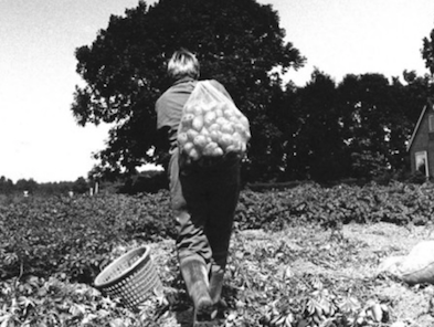 Boerin Hennie komt op voor plattelandsvrouwen in 1984