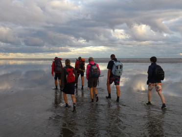 Winterwadlopen steeds populairder