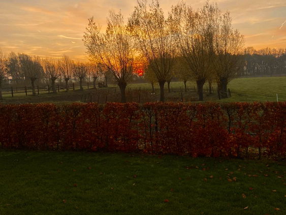 Kleur maakt het leven mooier