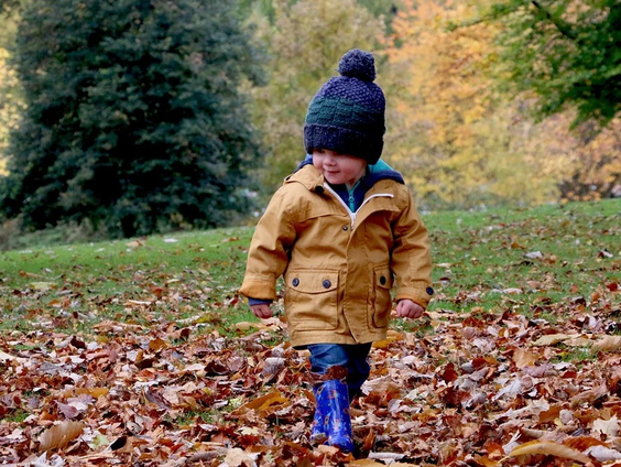 'Prugeltie' mooiste Drentse woord van 2020