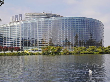 Woord van de Dag - Stage