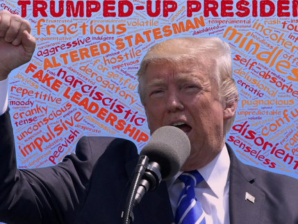 Wordt Trump herkozen in 2020?