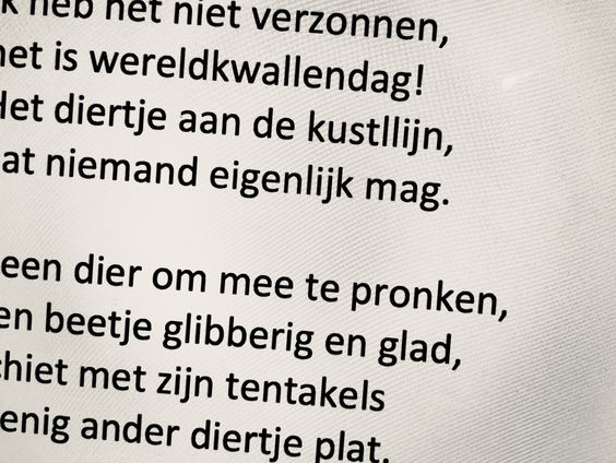 Gedichten voor een glimlach in onzekere tijden