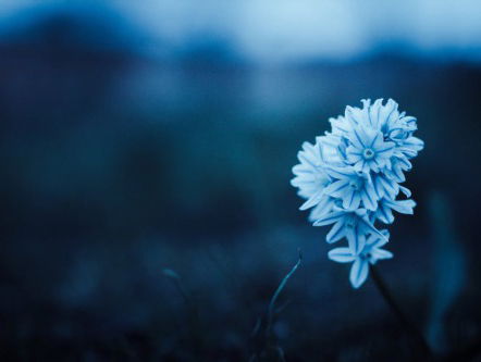 Hoe Zit Dat; Blue Monday, waar komt dat nou eigenlijk vandaan?