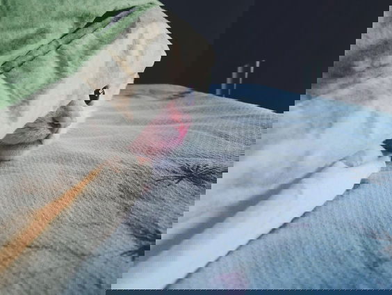 Speel niet langer verstoppertje