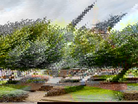 De 3-30-300 regel maakt Nederland groener