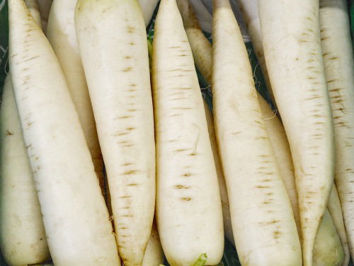 1981: Exotische Groenten van Hollandse bodem