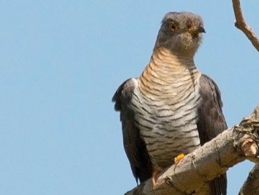 De lente komt eraan!