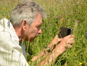 Martine Dubois op de Hooilanden van de Drentsche Aa