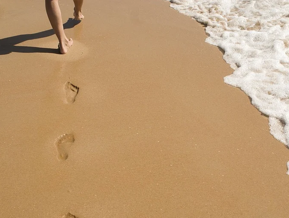 Wat is jouw voetafdruk?