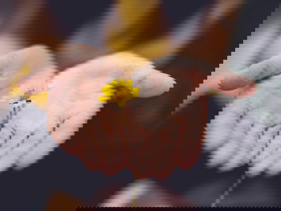 Dagsluiter: Wie zonder zonde is