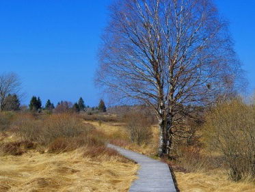 Is veen de nieuwe CO2-boosdoener?
