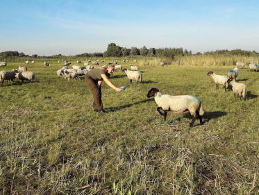 Martine Dubois gaat 'in gesprek' met de schapen