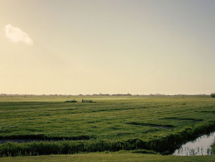 Wandelen door de Friese Wouden voor ALS