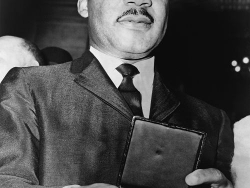 Martin Luther King dag