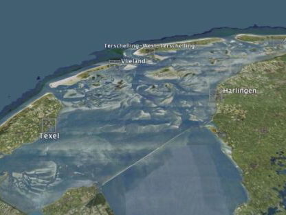 Perenbomen als kunstrif groot succes!