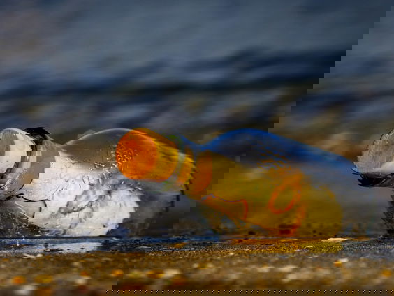 Flessenpost in eigen tuin: Hans vindt 33 jaar oud briefje