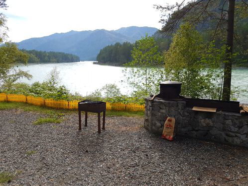 Van Aalsmeer naar Tokio