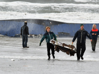 Is jutten hetzelfde als jatten