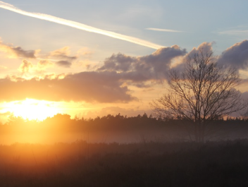Dorpsdichter Gea van Drie aan het woord