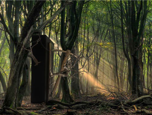 6 oktober 2019 Dick van Eck