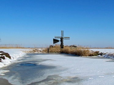 Wakzwemmen in Friesland