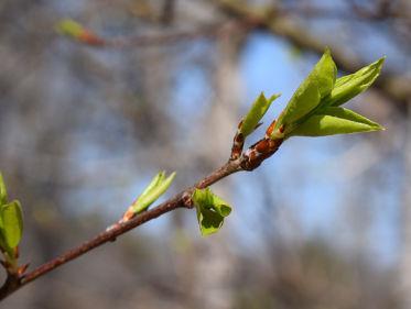 Het is vandaag Duurzame Dinsdag en dat levert mooie ideeën op!