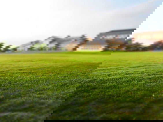 Is het gras bij de buren groener?