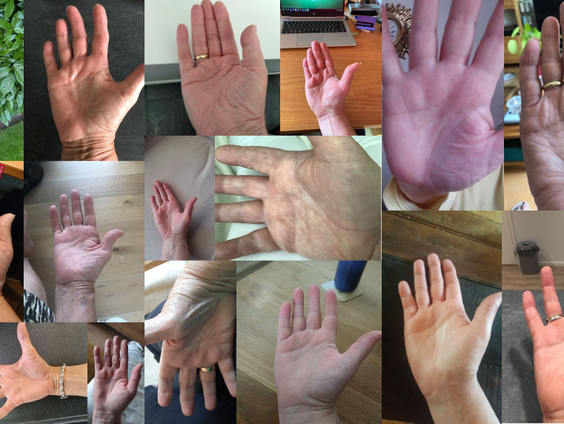 Handlezer Professor Drabb in de studio