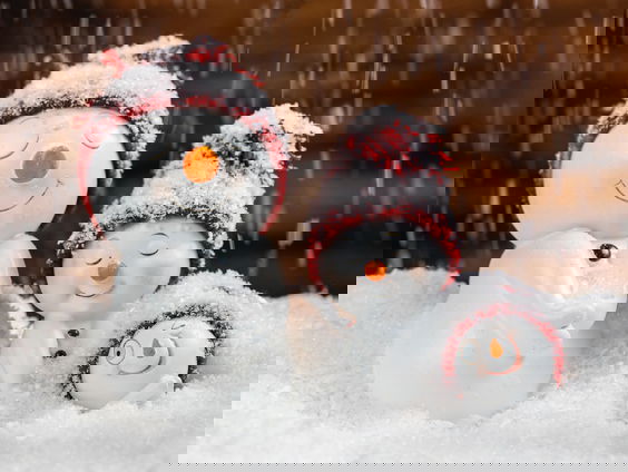 Dag Koning Winter, ga maar gauw