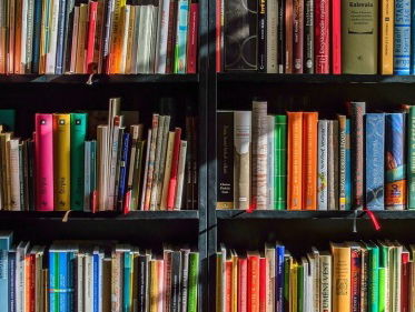 Een titelsong bij een boek? Muzikant Christon Kloosterboer en schrijver Stefan Raatgever slaan de handen ...