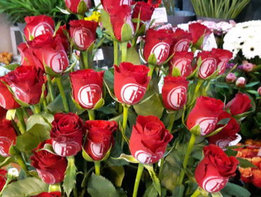 Feyenoordroos is een uit de hand gelopen grap