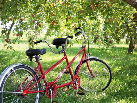 Voorrijders gezocht voor op de tandem