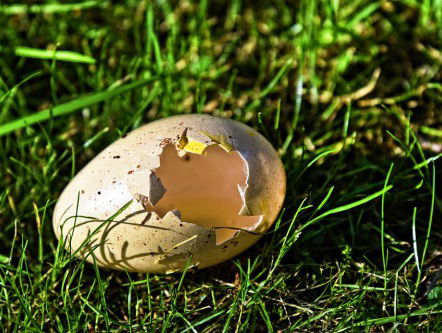 Een pasta als windei