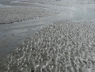 Expeditie Marker Wadden