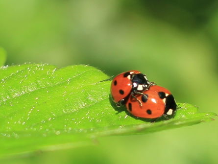 Wat Een Vak: Sekswerker