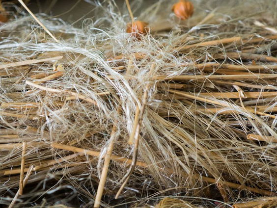 Schatgraven in museum het Bussemakerhuis in Borne