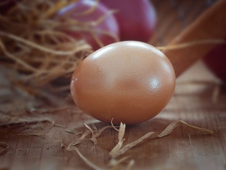 Pluimveehouders moedeloos door fipronilcrisis