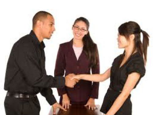 Wat Een Vak: mediator