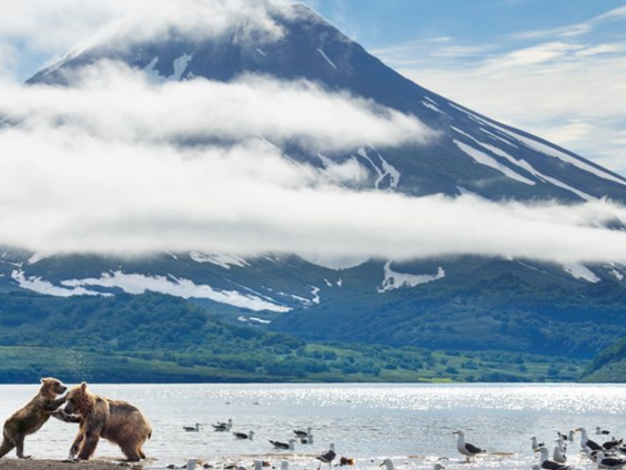 Hoe werkt onze planeet?