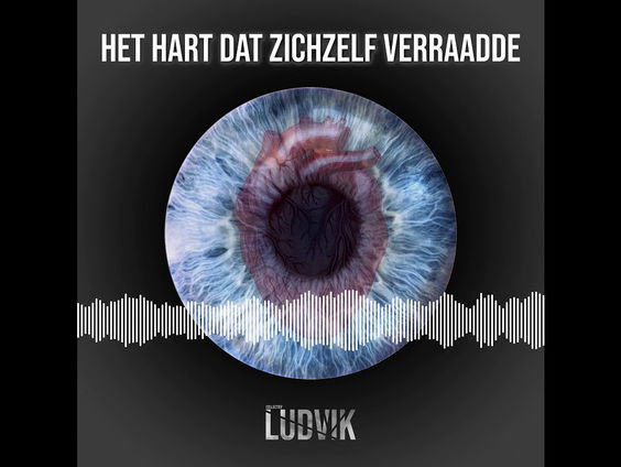 Een Edgar Allan Poe-hoorspel in 8D