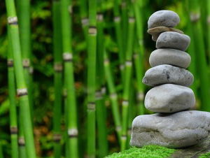 Plant bathing studio