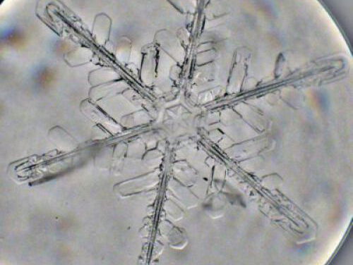 Geen sneeuw in Japan is een probleem voor de Zomerspelen 2020